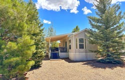 2719 Whiskey Road, Overgaard, AZ 85933