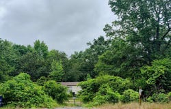3640 LOGAN MARTIN DAM ROAD, CROPWELL, AL 35054
