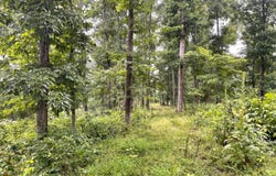 000 Dunn Bridge Rd, Heltonville, IN 47436
