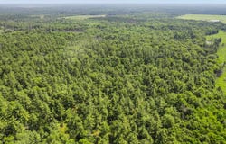 1751 BUTTERCUP AVENUE, Arkdale, WI 54613