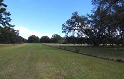 Taylor Road, Monticello, FL 32344