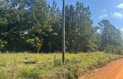 Lewis Drive lot: #9, Georgetown, GA 39854