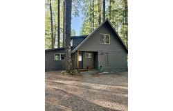 Cabin 41 Northwoods, Cougar, WA 98616