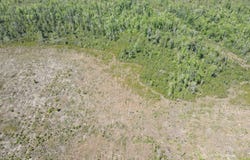 TBD NW John F. Bailey Rd., Blountstown, FL 32424