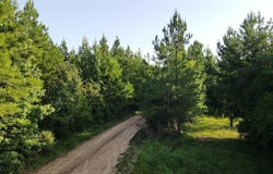 Cupit Road, Union Church, MS 39668