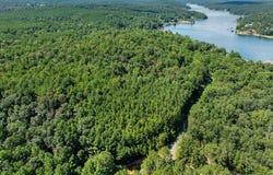000 McCoy Pointe Dr, Arley, AL 35541