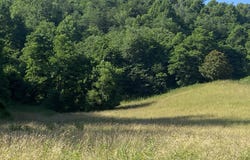 0 Rich Valley (9.23 Ac) Road, Abingdon, VA 24210