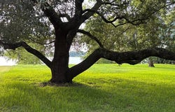 764 Highway 606, Saint Joseph, LA 71366