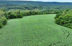 MOYERS STATION AND SUMMER HILL ROADS, SCHUYLKILL HAVEN, PA 17972
