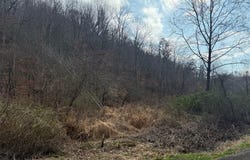 2285 Ky. Rt. 3387, Stambaugh, KY 41257