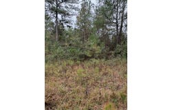 Hwy 26 E, Poplarville, MS 39470