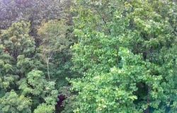 0 Tn-156, South Pittsburg, TN 37380