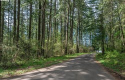 18675 SW FOREST PARK RD, Hillsboro, OR 97123