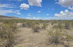 1101 Star Morninglight Rd, Terlingua, TX 79852