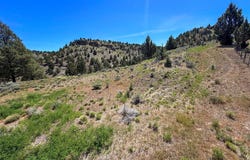 Luce Creek Rd, JohnDay, OR 97845