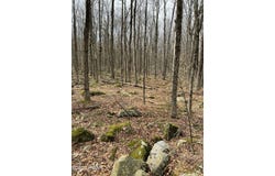 Lot 270 Radcliff Lane, Newfoundland, PA 18445