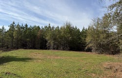 003 GA Highway 45, Plains, GA 31780