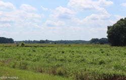 Lot 1 Whaley Road, Kinston, NC 28501