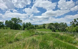 495 Rock Creek Road, Buffalo, WY 82834
