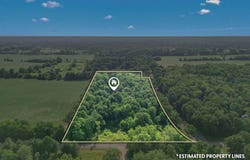 1391 Lake Wilson Road S, Hillsdale, MI 49242