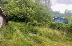 918 Spurlock Fork, Dana, KY 41615