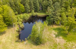 5960 N Trail SE, Kalkaska, MI 49646