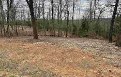703 CR 19, Mountain Home, AR 72653