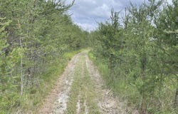 00 E 10 Mile Road, Irons, MI 49644