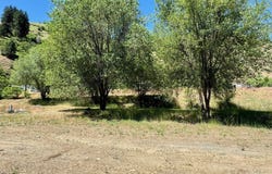 115 Helm Lane, Pollock, ID 83547