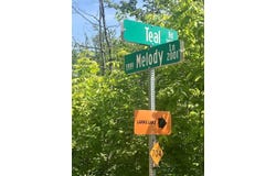 TBD TEAL, PELLSTON, MI 49769