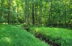 01 Terripan Run Rd, DOVER, TN 37058