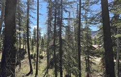 331 Beaver Circle, Durango, CO 81301