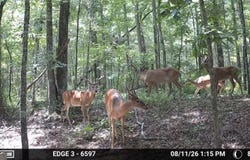 TRACT 3 Lees Bridge Rd, Delta, AL 36258