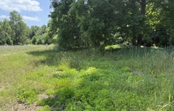 10710 N Sam Lane, Morley, MI 49336