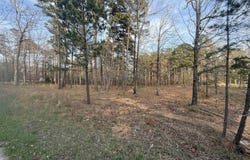 525 E Shore Drive, Drasco, AR 72530