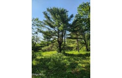 L30 Skyline Drive, Delanson, NY 12053