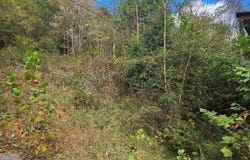1727 Right Poor Valley Road, Pennington Gap, VA 24277