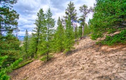 0 Windham Drive, Estes Park, CO 80517