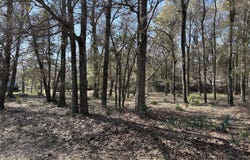 1951 Redfish Run SW, Supply, NC 28462