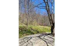 228 Weddington Hollow, Pikeville, KY 41501