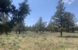 Surrey Ln, Canby, CA 96015