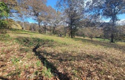 000 Fox Chase, Flippin, AR 72634