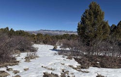 Pine Drive, Ridgway, CO 81432