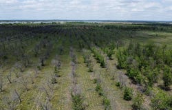 Tbd Fm-2861, Comanche, TX 76442