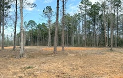 NHN Antler Ridge LOT A, Poplarville, MS 39470