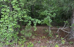 3291 Broad Street, Sumter, SC 29150