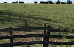 TBD  County Road 4030, Rolla, MO 65401
