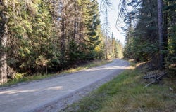 1416 ASPEN CREEK RD, COLVILLE, WA 99114
