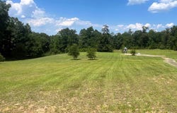 1160 Frank Marshall Rd, Ozark, AL 36360