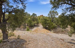 155 Oak Trail Circle, Cold Creek, NV 89124